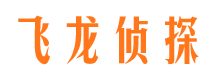 镜湖市私家侦探